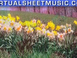 Waltz of the Flowers by Tchaikvosky fantasy video