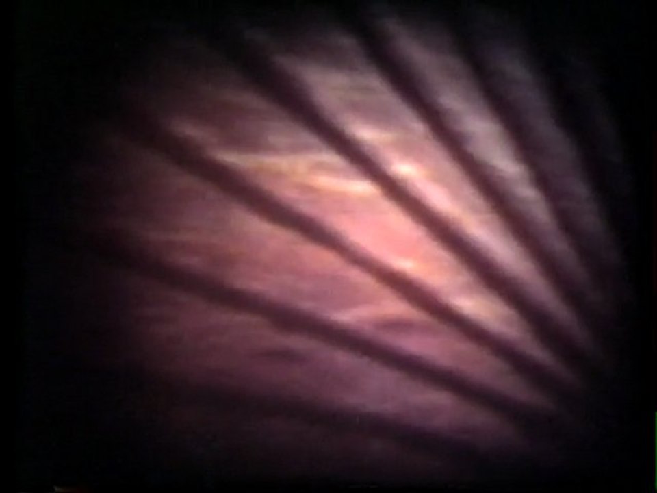 Conrad Schnitzler: Collection A #9 Die Nie Alt Werden