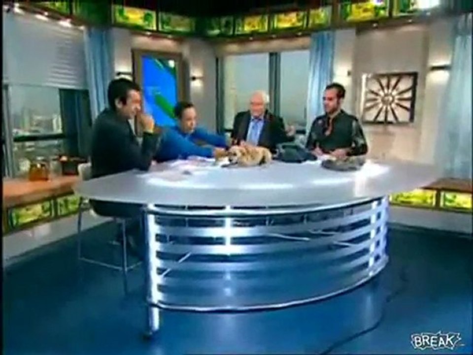 Dog poops on news desk