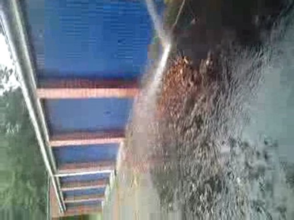 toujour la laveuse