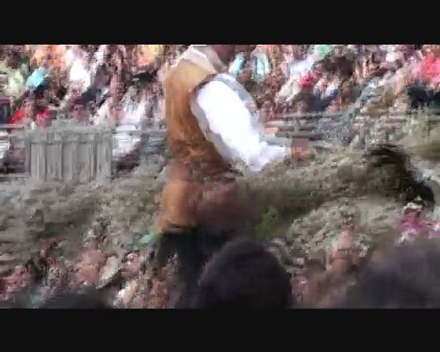 le Bal des Oiseaux Fantômes 2 (Puy du Fou)