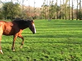 MOV001