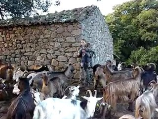 Sur ma chèvre ! 13-12-09