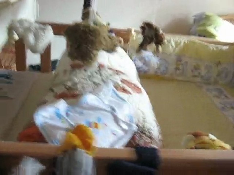 VISITE DE L'APPARTEMENT PAR JULES. DECEMBRE 2009