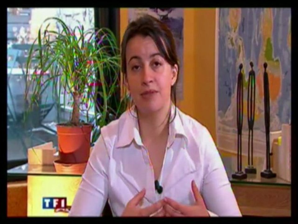Cécile Duflot 13h TF1 samedi 19 décembre 2009