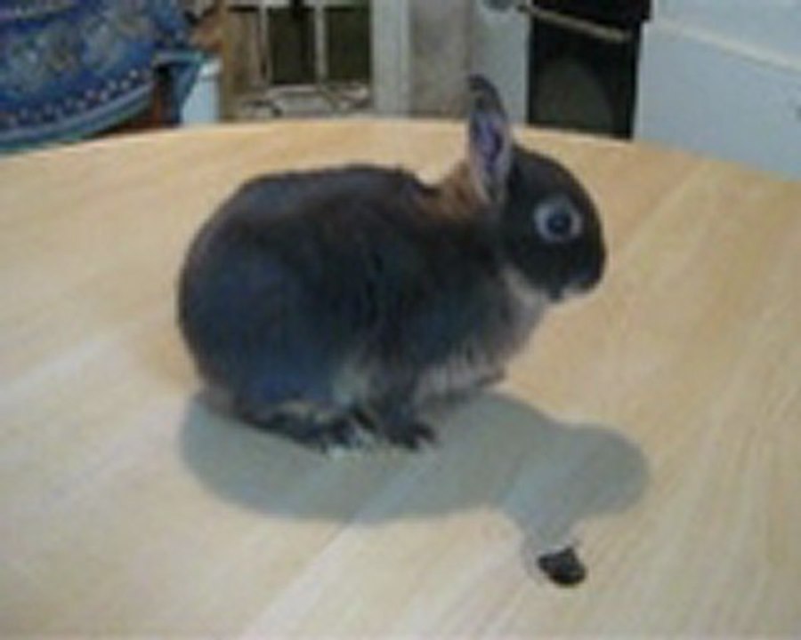 Nesquik