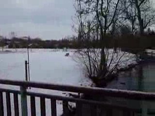 La prairie et le son des cloches