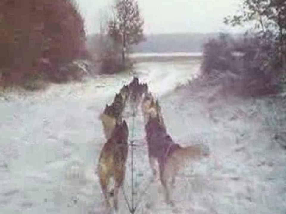 Entrainement 19 décembre 2009