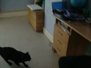 Dylan-arceus and stiki(chat)