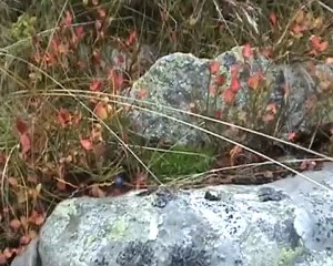 Randonnée vers le lac du pas de la coche