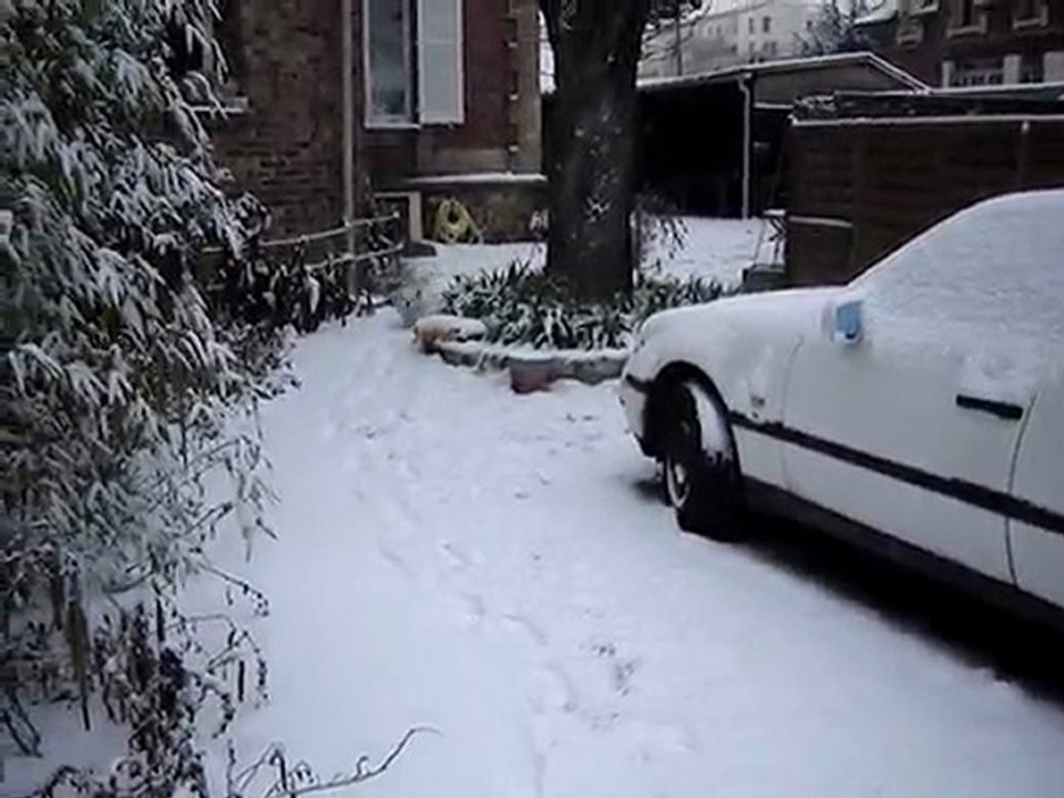 Eddy découvre la neige