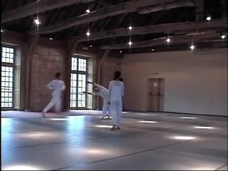 Liaison Hydrogène de Sosana Marcelino, Abbaye de Royaumont