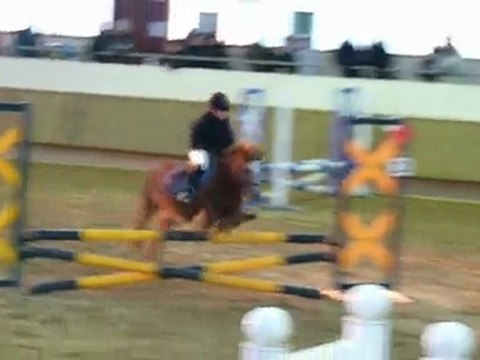 Charlotte& Abricot.Lycée agricole de Laval club 4 (13/12/09)