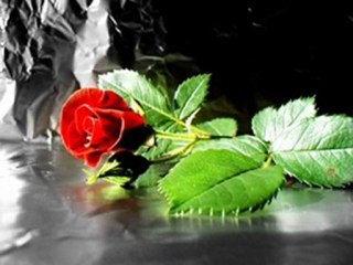 BEN ANLAMADIM BU İŞİ,SENDE  BENİ ANLAMAK İSTEMEDİN