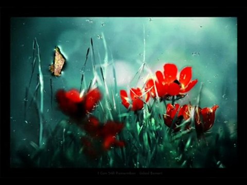 Hasan Sağındık -Ihlamurlar Çiçek Açtığı Zaman