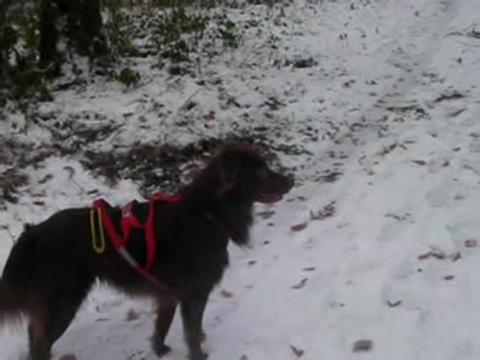 une sortie sous la neige