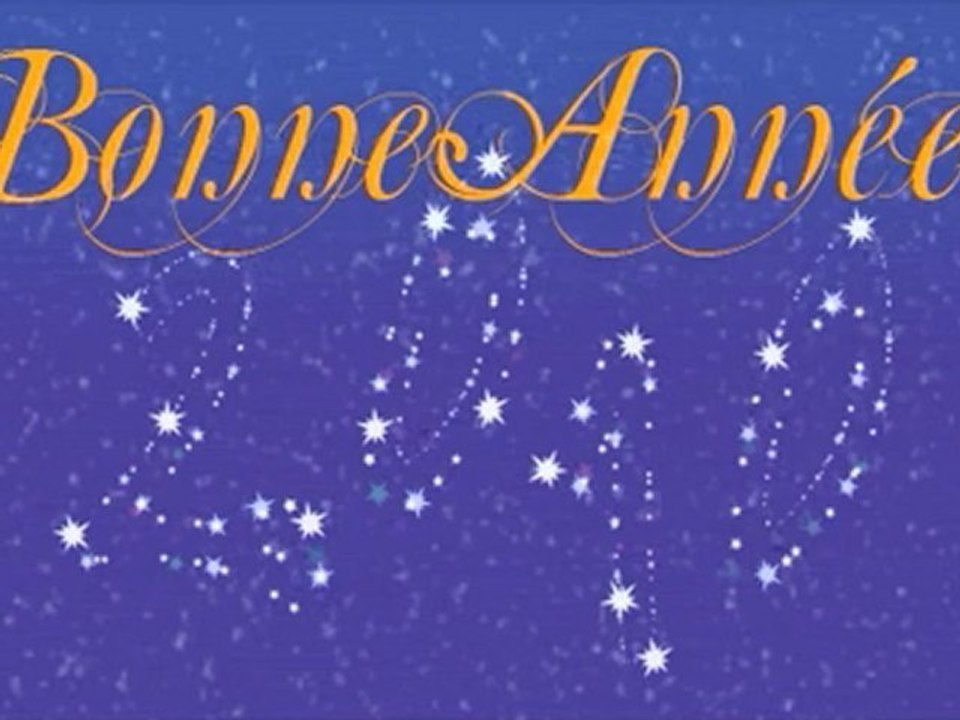 Meilleurs Vœux 2010