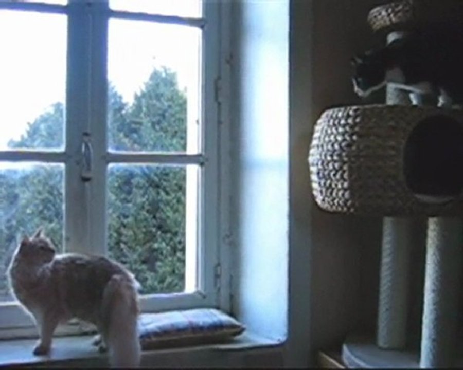 Cohabitation...