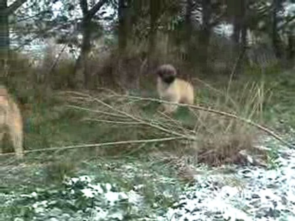 Ellay et Eau Vive découvrent la neige