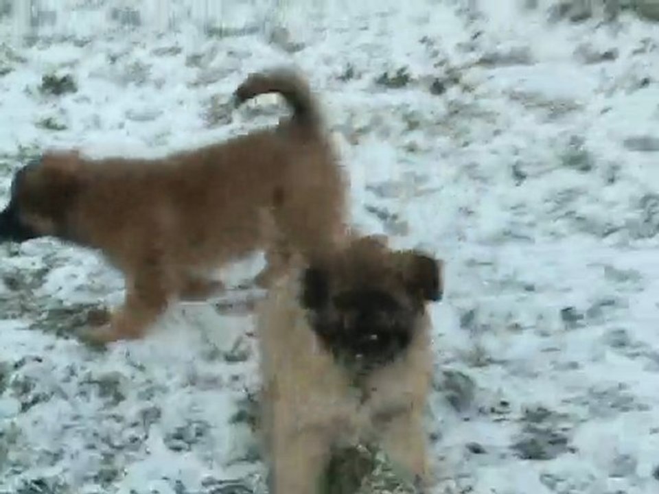 Ellay et Eau Vive découvrent la neige 2