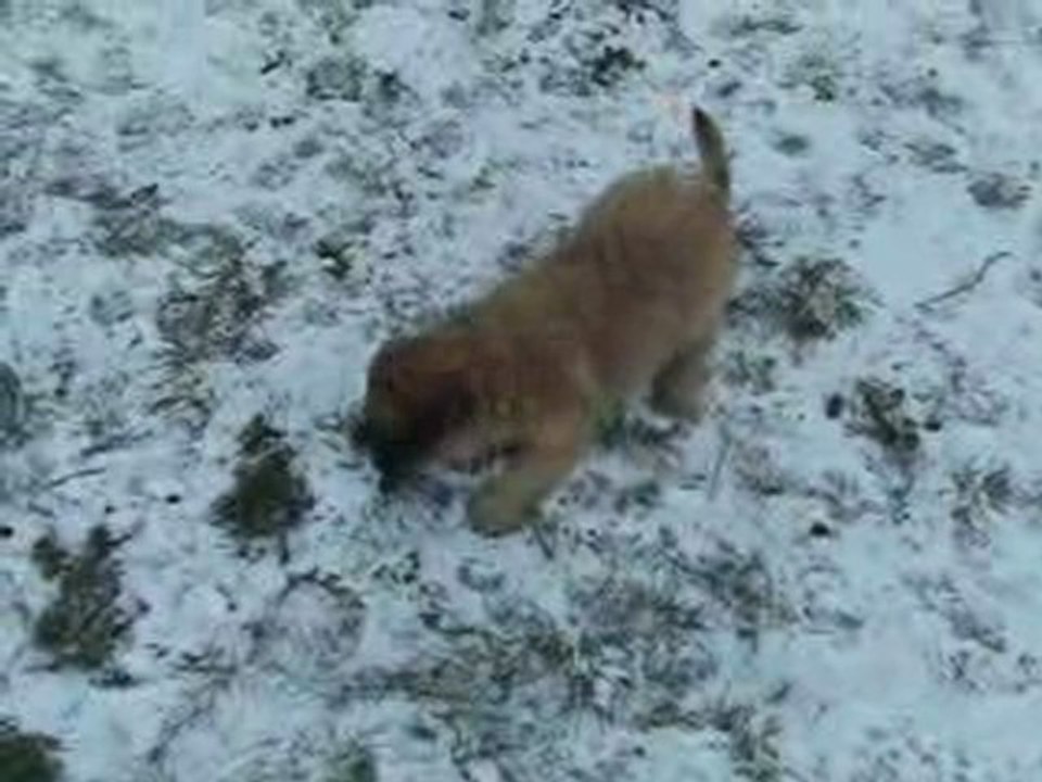 Ellay et Eau Vive découvrent la neige 3