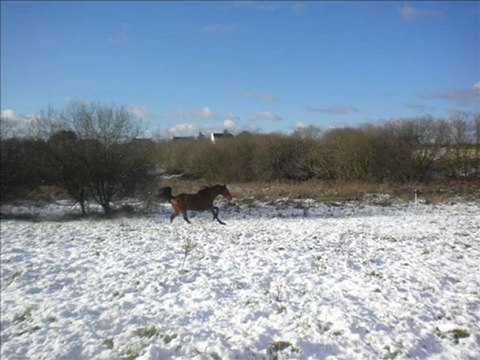 Quisolyn dans la neige, hiver 2009