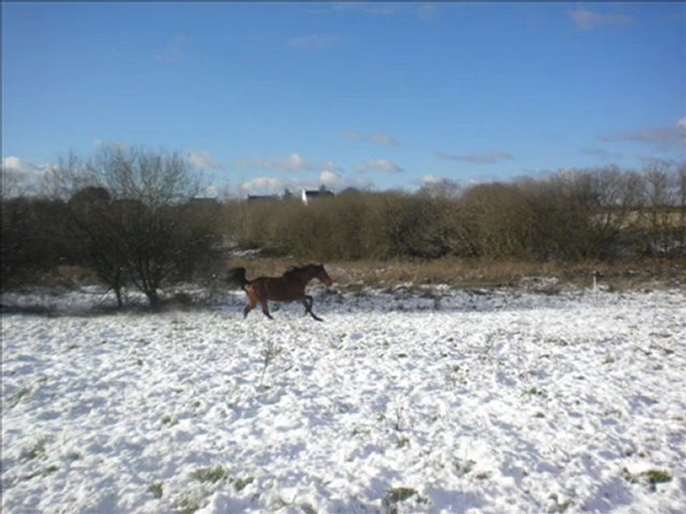 Quisolyn dans la neige, hiver 2009