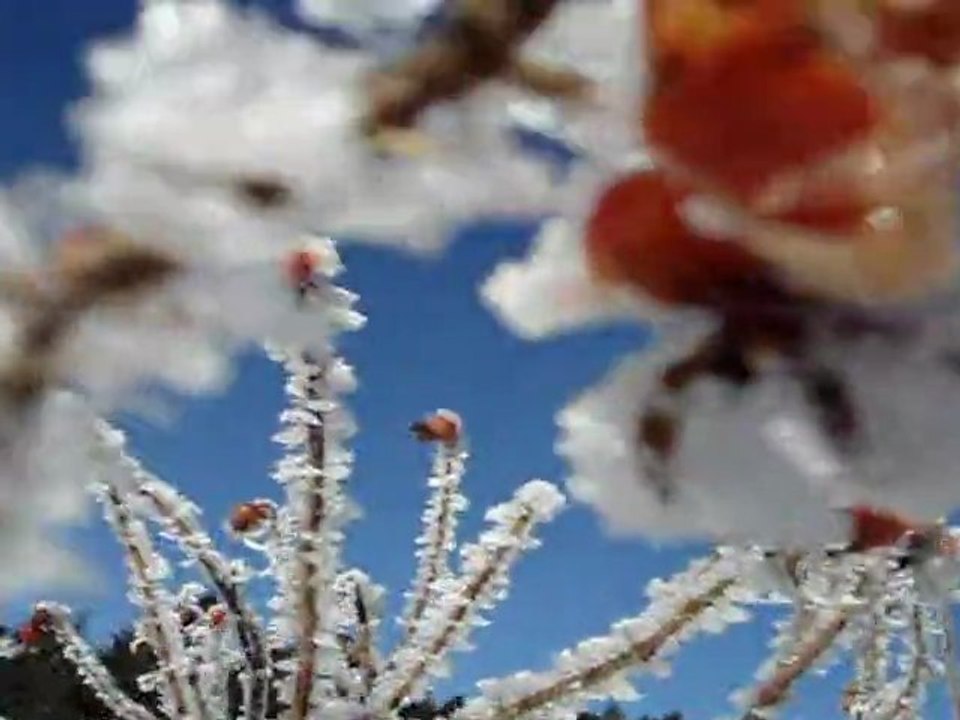une valse blanche
