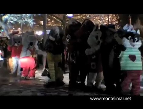 La neige, le marché de Noël et la grande roue de Montelimar