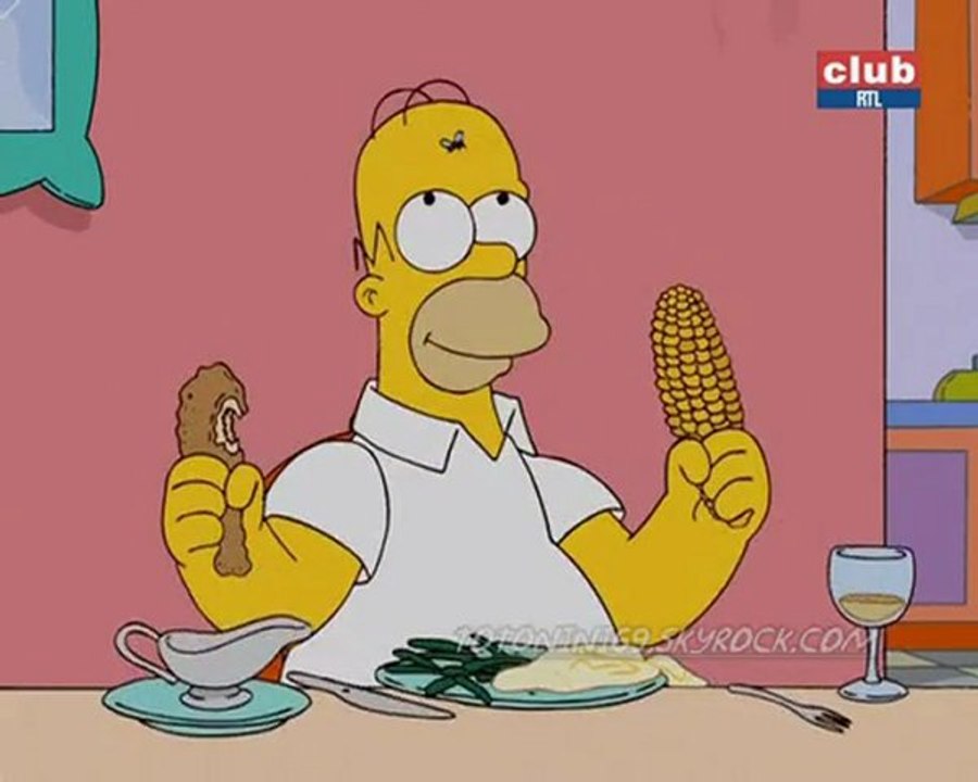 homer et la mouche