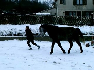 séance dans la neige 19.12.09