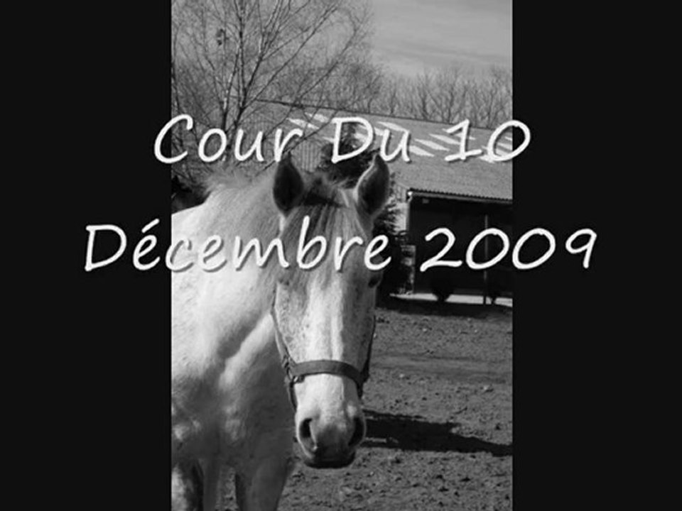 Moi Et Hobidou 13 ème Cour