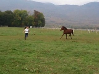 Free style