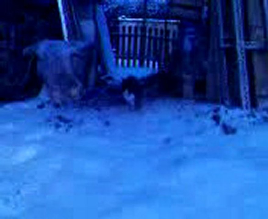Mister dans la neige!