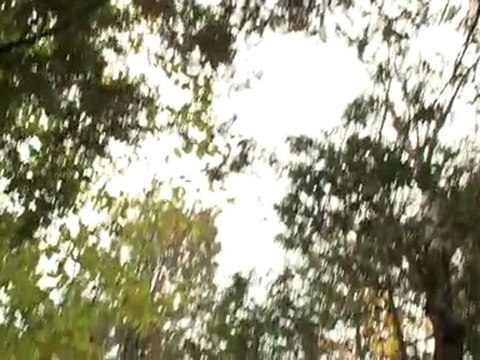 Le marais de la rivière-aux-cerises - Magog, Québec, Canada