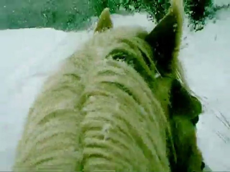 balade neige ac kenchou' !