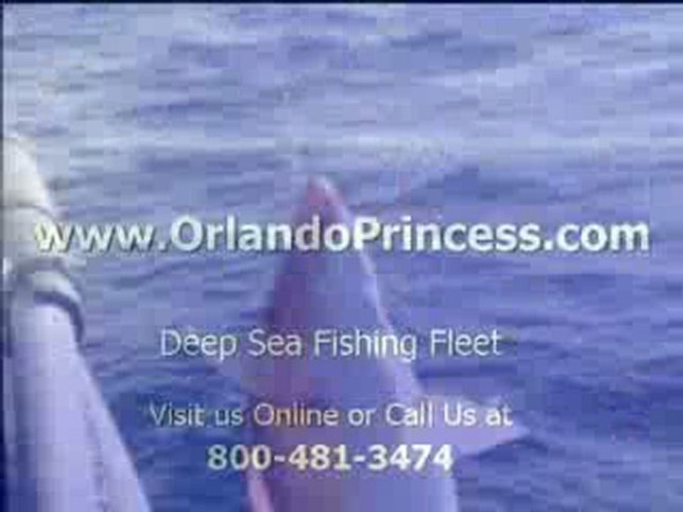 Port Canaveral Fishing
