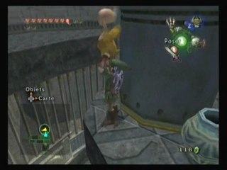 Zelda Twilight Princess [53] "Le double grappin"