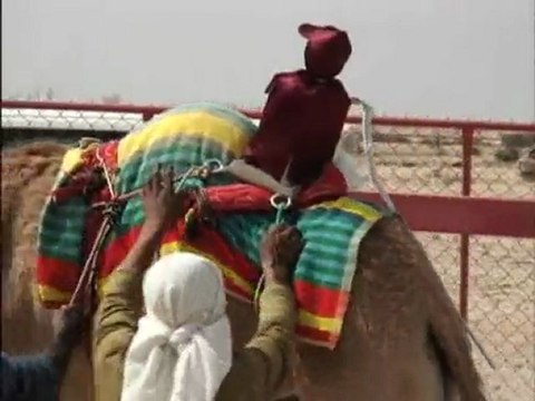 INTER-CONTINENTAL DOHA Happening Places