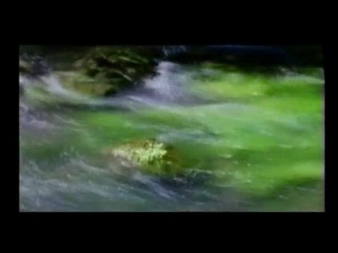 WINALITE - A EMPRESA QUE VAI MUDAR A SUA VIDA! VÍDEO Nº 04