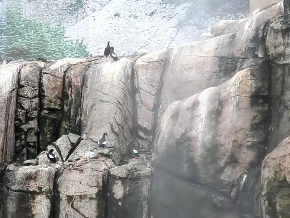 Biodôme de Montréal - Québec, Canada