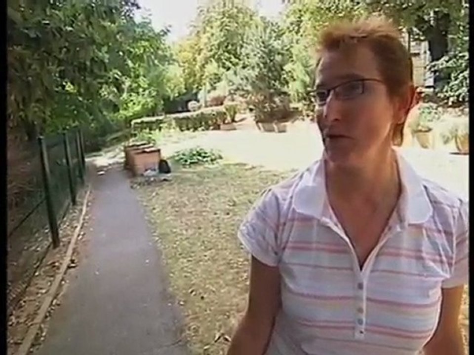 Le compost collectif du 107 rue de Reuilly à Paris