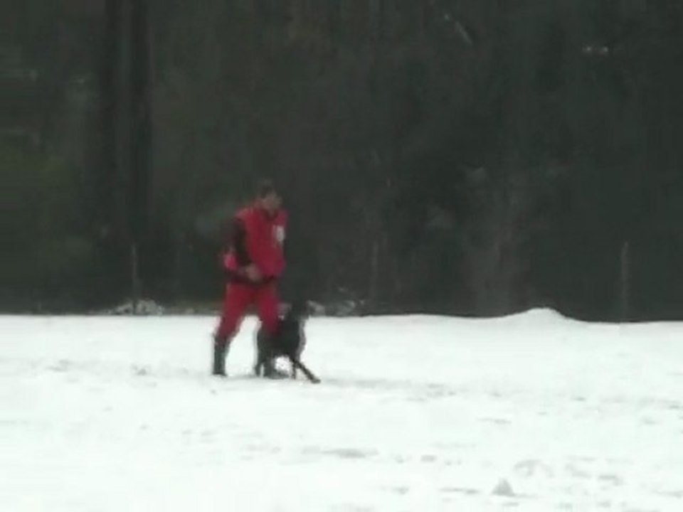 Bingo Von Der Mooreiche  in Snow