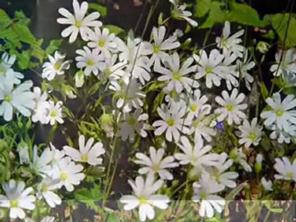 Bugün Pazar ve Ben Seni Çok Özledim....