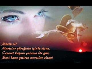 korg pa 800 ile gitme turnam