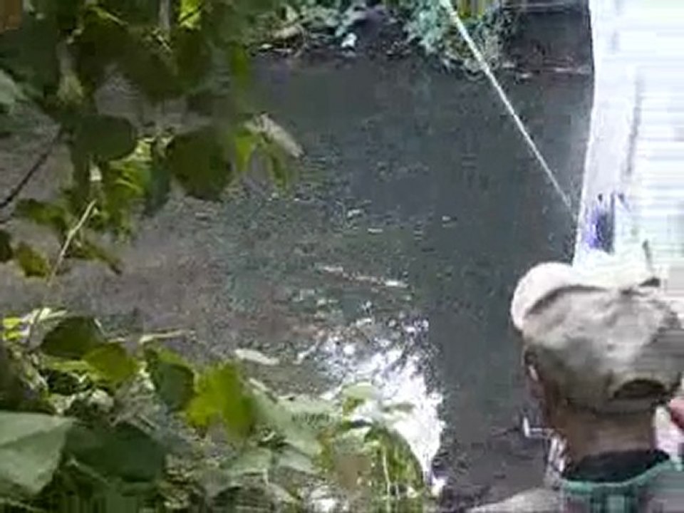 Peche à la Mouche le 2 juillet 2009 sur le GELON en SAVOIE