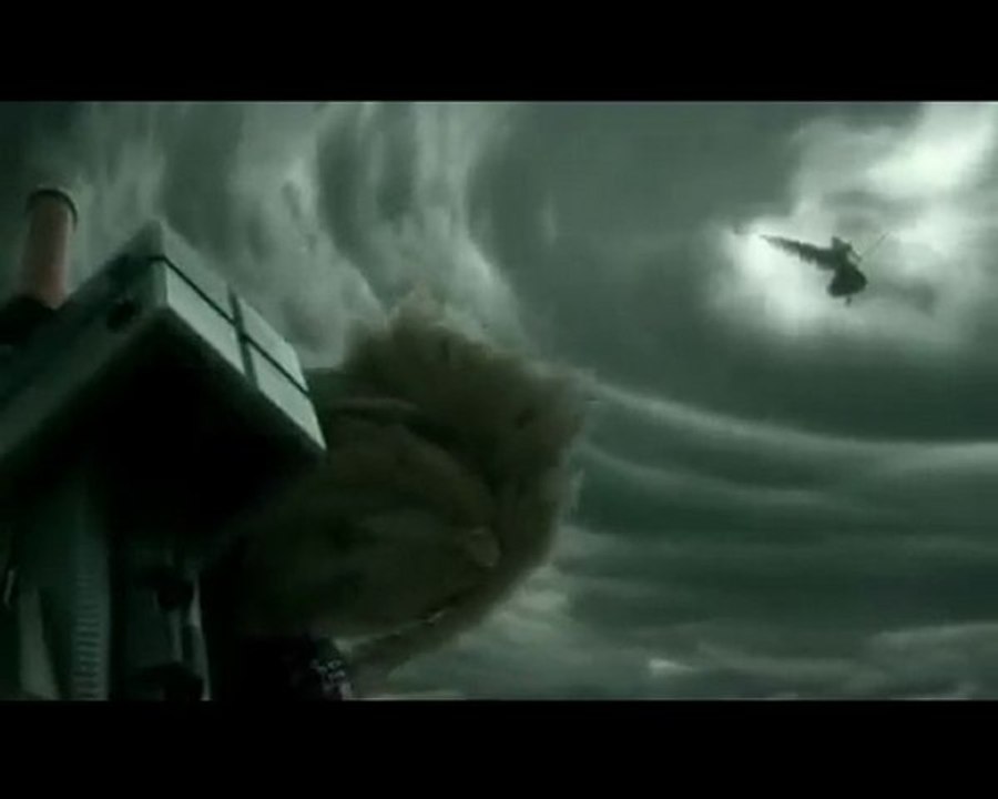 Pirate des caraïbes  FFACC