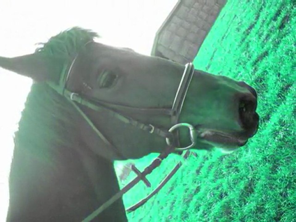 Paola en balade dans la neige + en plat.