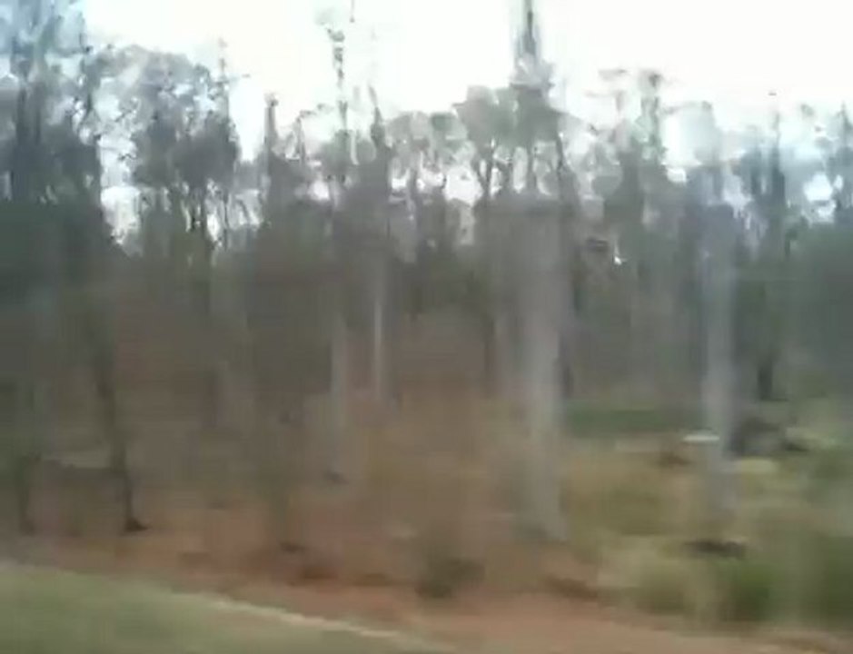 Voyage Train Banlieue