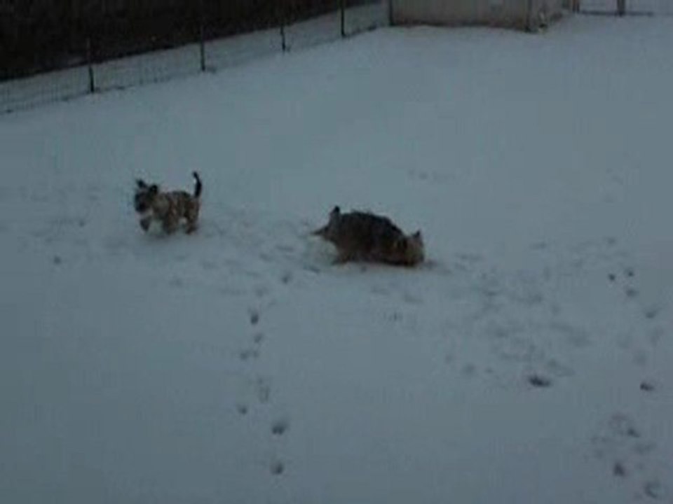 Divine et la neige